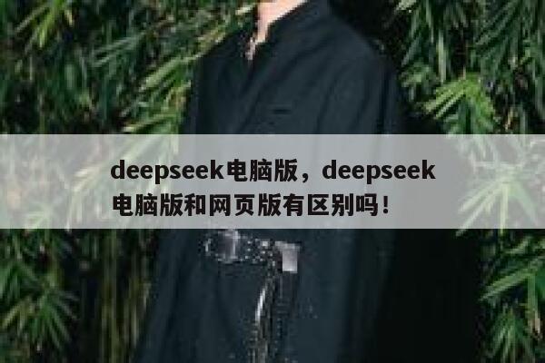 deepseek电脑版，deepseek电脑版和网页版有区别吗！ 第1张