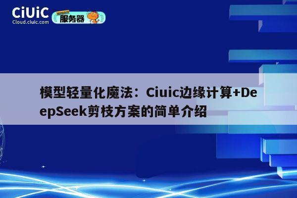 模型轻量化魔法:Ciuic边缘计算+DeepSeek剪枝方案的简单介绍 第1张 模型轻量化魔法:Ciuic边缘计算+DeepSeek剪枝方案的简单介绍 第1张